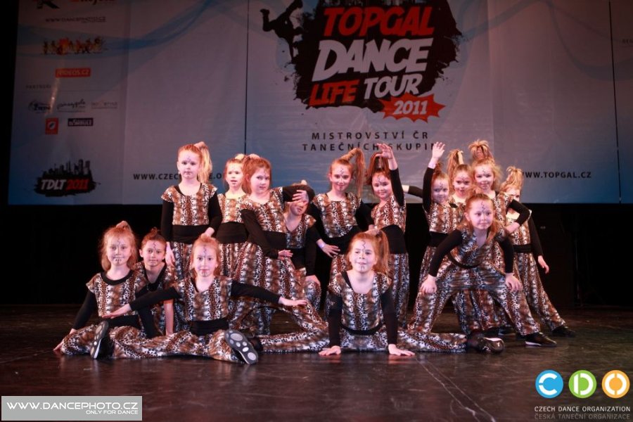 tdlt2011_00795
