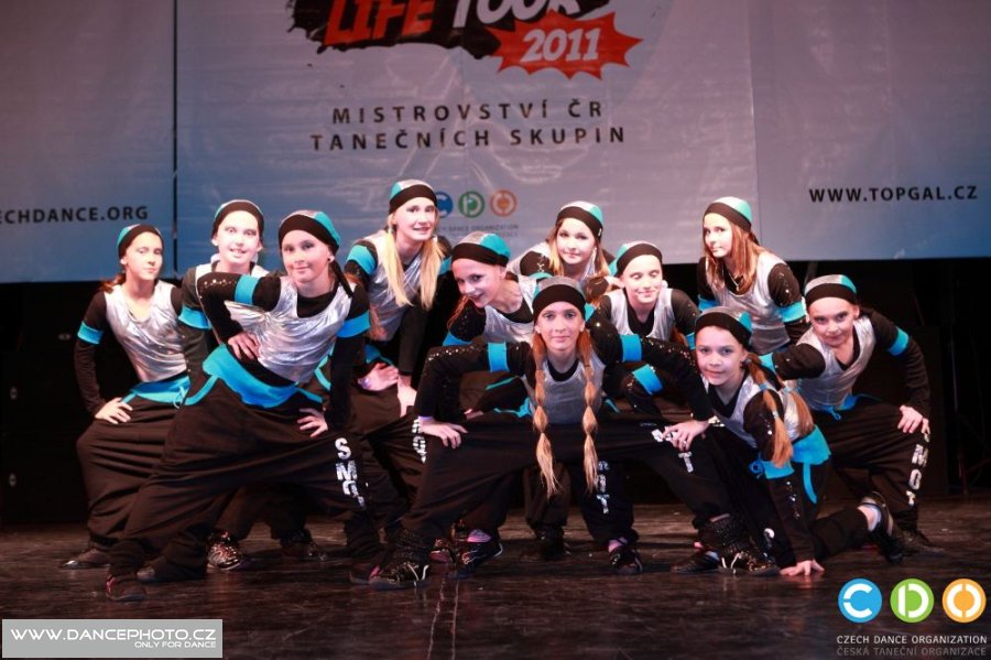 tdlt2011_00919